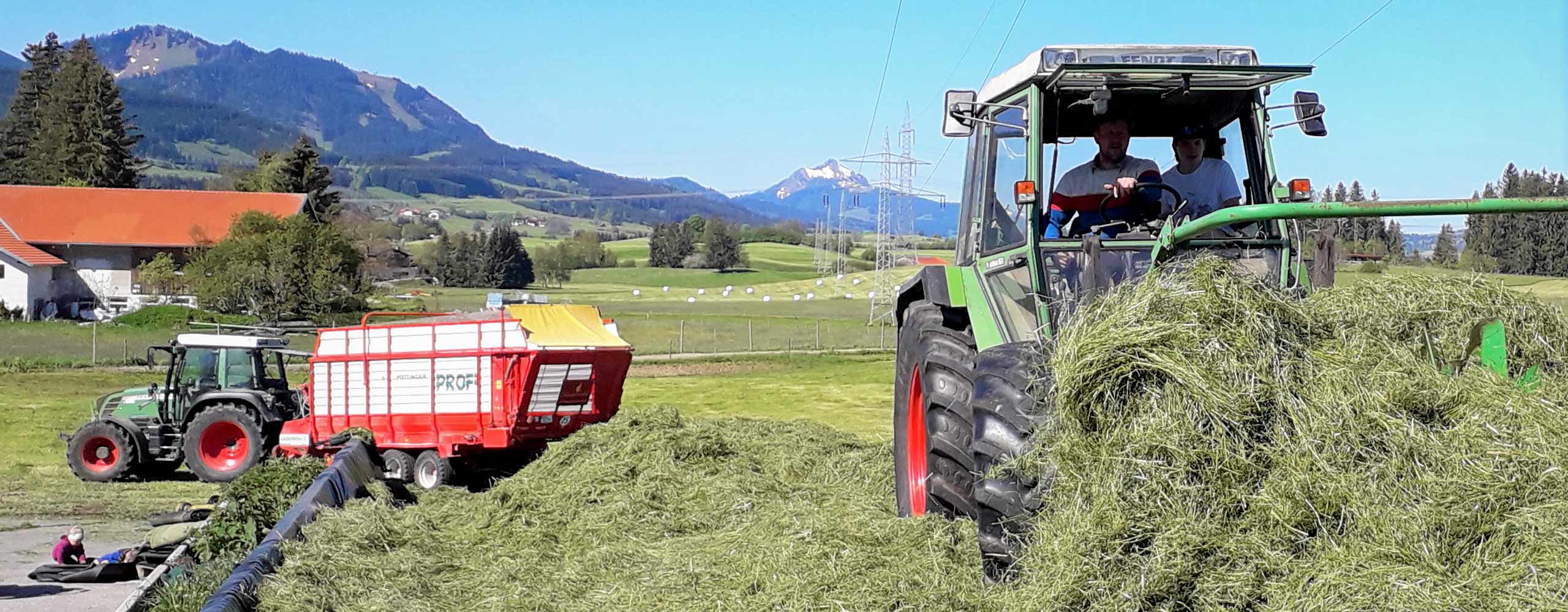 Erntearbeit auf dem Hof